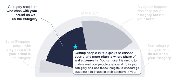 Share-of-wallet graphic highlighting the category shopper who shop with your brand as well as the category.