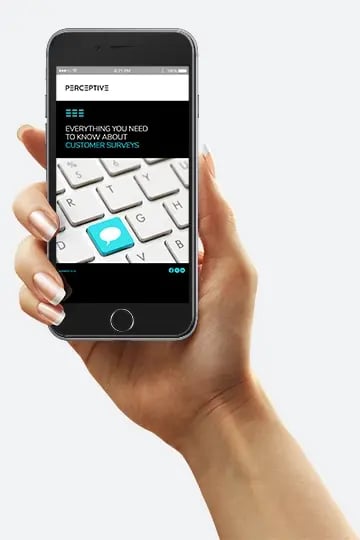 C7-Everything-You-Need-to-Know-Online-Customer-Surveys_LP