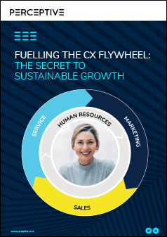 Fuelling the CX Flywheel: the secret to sustainable growth