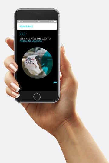 DairyNZ-Seg-CreativeTest-Case-Study_LP